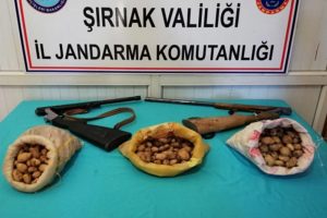 Şırnak'ta toplanması yasaklanan sahlep soğanı ele ge&ccedil;irildi