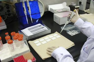 Gen teknolojisiyle HIV vir&uuml;s&uuml; tarih olabilir
