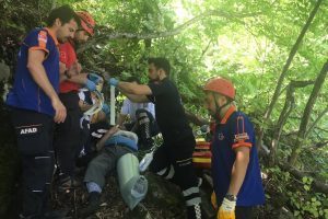 Bursa Uludağ'da ıhlamur toplarken ağa&ccedil;tan d&uuml;şt&uuml;, yardımına kurtarma ekipleri koştu