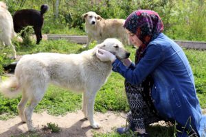 Tedavi ettirdikleri sokak hayvanlarına sıcak yuva buluyorlar