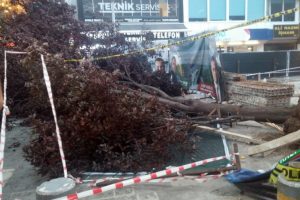 Başkent'te fırtına ağa&ccedil; devirdi, 3 kişi yaralandı