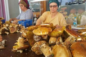 Avrupa mutfağının baş tacı: G&uuml;nde 7 bin TL kazanan var