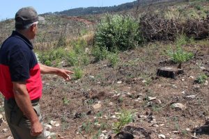 Soğukoluk Yaylası'nın eski haline gelmesi 50 yıl s&uuml;recek