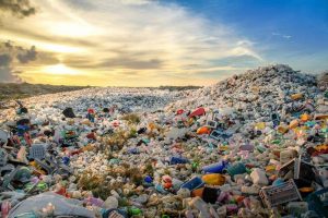 T&uuml;rkiye'nin plastik atık ithalatı beş kat arttı