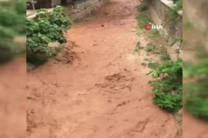 Nallıhan'da yağmur sonrası su baskınları yaşandı