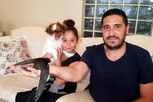 Sokakta bulunan ebabil kuşu koruma altına alındı
