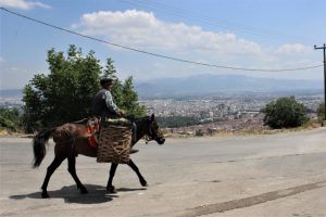 82'lik atlı dede, Bursalıları organik gıdayla buluşturuyor