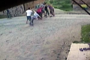 Hayvanları yanlış ahıra giren iki aile birbirine girdi