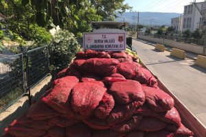 Bursa Orhangazi'de 12 ton ka&ccedil;ak midye ele ge&ccedil;irildi
