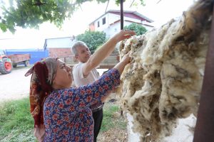 Bursa'da yapağılar, hayvan yetiştiricisinin elinde kaldı