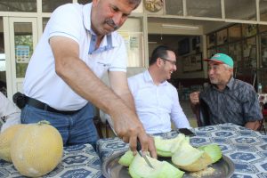 Bursa'da kavun hasadı başladı, fiyatlar y&uuml;zleri g&uuml;ld&uuml;rd&uuml;