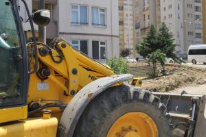 Sosyal medya ayağa kalkmıştı! Doğanbey'de ağa&ccedil; katliamı dedikleri &ccedil;evre d&uuml;zenlemesi &ccedil;ıktı (&Ouml;ZEL HABER)