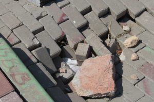 Bursa Nil&uuml;fer'de tepki &ccedil;eken g&ouml;r&uuml;nt&uuml;! (&Ouml;ZEL HABER)