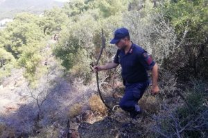 Kayıp Buse i&ccedil;in kadavra k&ouml;pekli arama başlatıldı