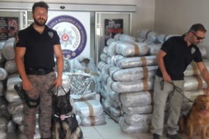 1,5 ton ağırlığında uyuşturucu ele ge&ccedil;irildi
