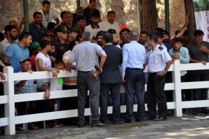 Bursa Karacabey'de tay satışları protestolar sebebiyle ertelendi