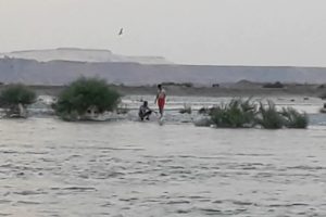 Baraj kapakları a&ccedil;ılınca avlandıkları &ccedil;ayda mahsur kaldılar