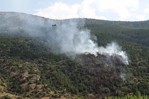 Afyonkarahisar'da orman yangını