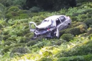 &Ccedil;ay bah&ccedil;esine u&ccedil;an otomobilin i&ccedil;inde can verdi