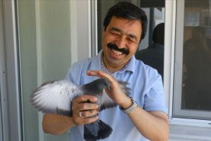 Balkonuna yuva yapan g&uuml;vercinler i&ccedil;in seferber oldu