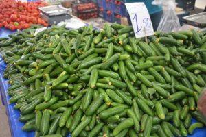 Salatalık tarlada 30 kuruş pazarda 1,5 lira