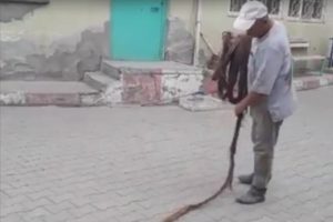 İ&ccedil;me suyu borusundan &ccedil;ıkan 9 metrelik ağa&ccedil; k&ouml;k&uuml; şaşırttı