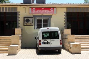 Kuzenlerin kavgası kanlı bitti