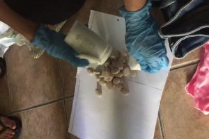 K&ouml;pek maması kutusundan uyuşturucu &ccedil;ıktı