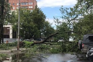 Birka&ccedil; dakikalık kasırga felakete yol a&ccedil;tı