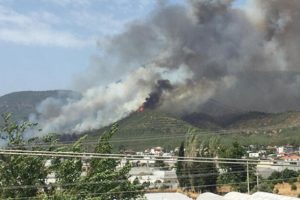 Muğla'dan bir &uuml;z&uuml;c&uuml; haber daha! &Uuml;&ccedil;&uuml;nc&uuml; yangın başladı