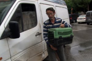 &Ouml;lmek &uuml;zere olan kirpiyi kurtarmak i&ccedil;in seferber oldu