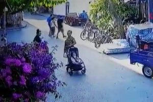 Faytona s&uuml;r&uuml;len atlar paniğe neden oldu
