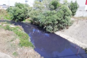 Kavak Deresi'ne kimyasal karıştı