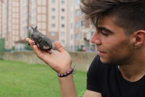 Bursa'da parkta otururken &ouml;nlerine ebabil d&uuml;şt&uuml;
