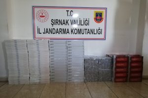 7 bin 520 paket ka&ccedil;ak sigara ele ge&ccedil;irildi