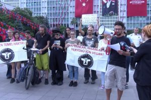 Bağımsız Hayvan Hakları Topluluğu'ndan fayton protestosu