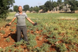 &Ccedil;ift&ccedil;iden domuzlardan korunmak i&ccedil;in ilgin&ccedil; y&ouml;ntem