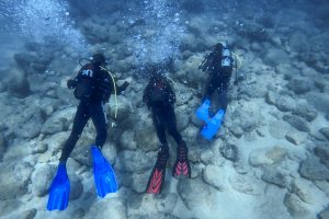 Antalya'nın muhteşem su altı d&uuml;nyası