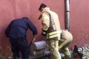 Yavru kediyi kurtaran itfaiye alkış aldı