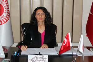 CHP Bursa Milletvekili Kayışoğlu: Karag&ouml;l'de bir gram su kalmamış