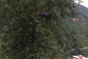 Armut toplamaya &ccedil;ıktığı ağa&ccedil;ta akıma kapıldı!