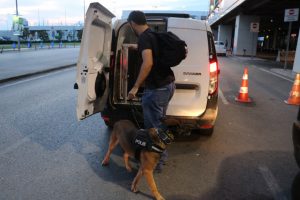 Narkotik k&ouml;pekleri şark g&ouml;revlerini yerine getirmek i&ccedil;in yola &ccedil;ıktı