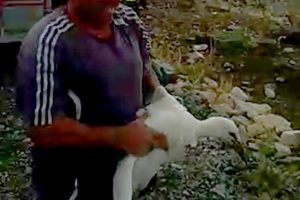 Ayağına poşet takıldığı i&ccedil;in yuvada mahsur kalan leylek kurtarıldı