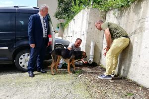 K&ouml;peği dereye atan iş&ccedil;iye 'Hayvanlara Bakma' g&ouml;revi
