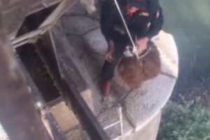 K&ouml;pr&uuml; altında mahsur kalan koyun kurtarıldı