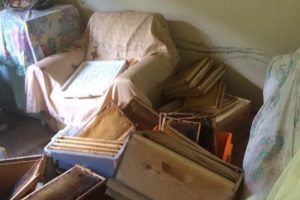 Pencereden giren ayı evi bu hale getirdi