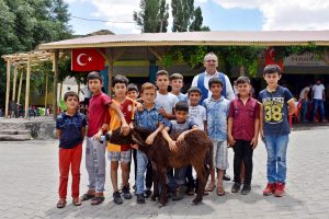 Annesi &ouml;len sıpayı biberonla besliyorlar
