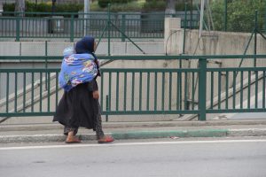 Bursa'da trafik ışıklarını mesken tuttular! (&Ouml;ZEL HABER)