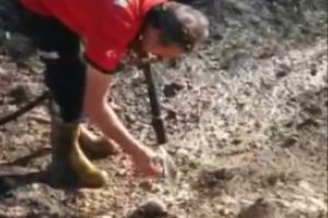 İtfaiye eri, kirpiyi yanmaktan kurtardı