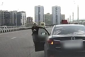 Ara&ccedil;tan yola atılan kediyi b&ouml;yle kurtardı